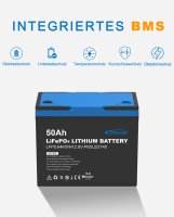 EPEVER® Lithium Batterie LiFePO4 Batterien 12,8V 50Ah – integrierte BMS, Selbstheizung unter 0°C, A-Klasse LiFePO4-Zellen - (0% Mwst)