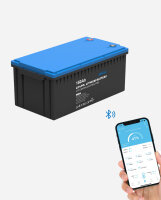 EPEVER&reg; Lithium Batterie LiFePO4 Batterien 12,8V 150Ah &ndash; integrierte BMS, Selbstheizung unter 0&deg;C  - (0% Mwst)