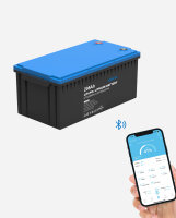 EPEVER&reg; Lithium Batterie LiFePO4 Batterien 12,8V 205Ah &ndash; integrierte BMS, Selbstheizung unter 0&deg;C, A-Klasse LiFePO4-Zellen  - (0% Mwst)