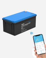 EPEVER&reg; Lithium Battery LiFePO4 Batteries 25,6V 100Ah &ndash; integrated BMS, Self-heating function under 0&deg;C, A-Grade LiFePO4-Cells - (0% Mwst)