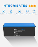 EPEVER&reg; Lithium Batterie LiFePO4 Batterien 25,6V 205Ah - BMS integriert, Selbstheizung unter 0&deg;C, A-Klasse LiFePO4-Zellen - (0% Mwst)
