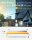 BKW Set _APsystems  EZ1-M 800W + Skyworth 450W*2  + senkrechte Balkon PV Halterung*2 - (0% MwSt)