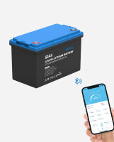 EPEVER&reg; LiFePO4 Battery LFP1.28KWH25.6V-P65L3_25.6V/50Ah