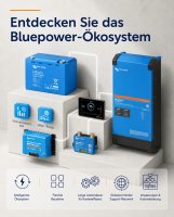 Victron Energy SmartShunt Batteriemonitor IP65 500A